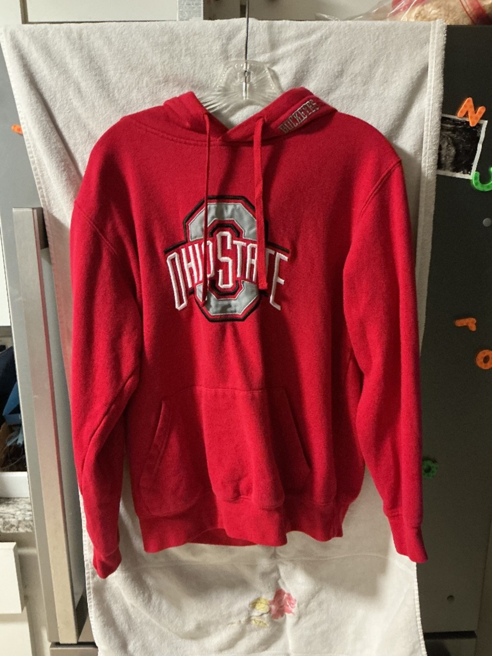 Ohio state hoodie
